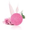 Picture of PLANT PULP SPONGE