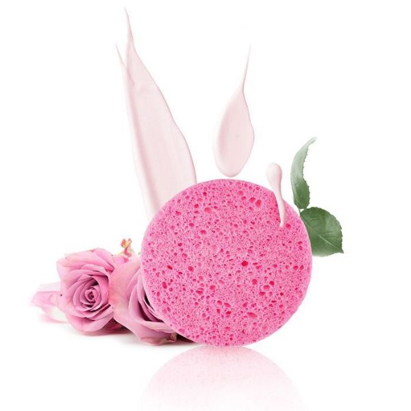 Picture of PLANT PULP SPONGE