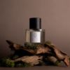 Picture of SENTIER BALADE IN AUTUMN, 10 ml