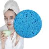 PLANT PULP SPONGE