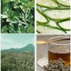FRAIJOUR ORIGINAL HERB WORMWOOD CLEANSING FOAM, 5 ml ingredients