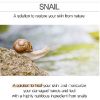 MIZON HAND & FOOT CREAM WITH SNAIL MUCUS EXTRACT, 100 ml