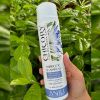ANILI CHICORY PREBIOTIC SHAMPOO, 300 ml