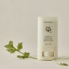 BEAUTY OF JOSEON MATTE SUN STICK MUGWORT CAMELIA SPF 50
