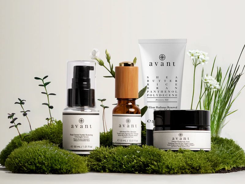 Picture for manufacturer AVANT